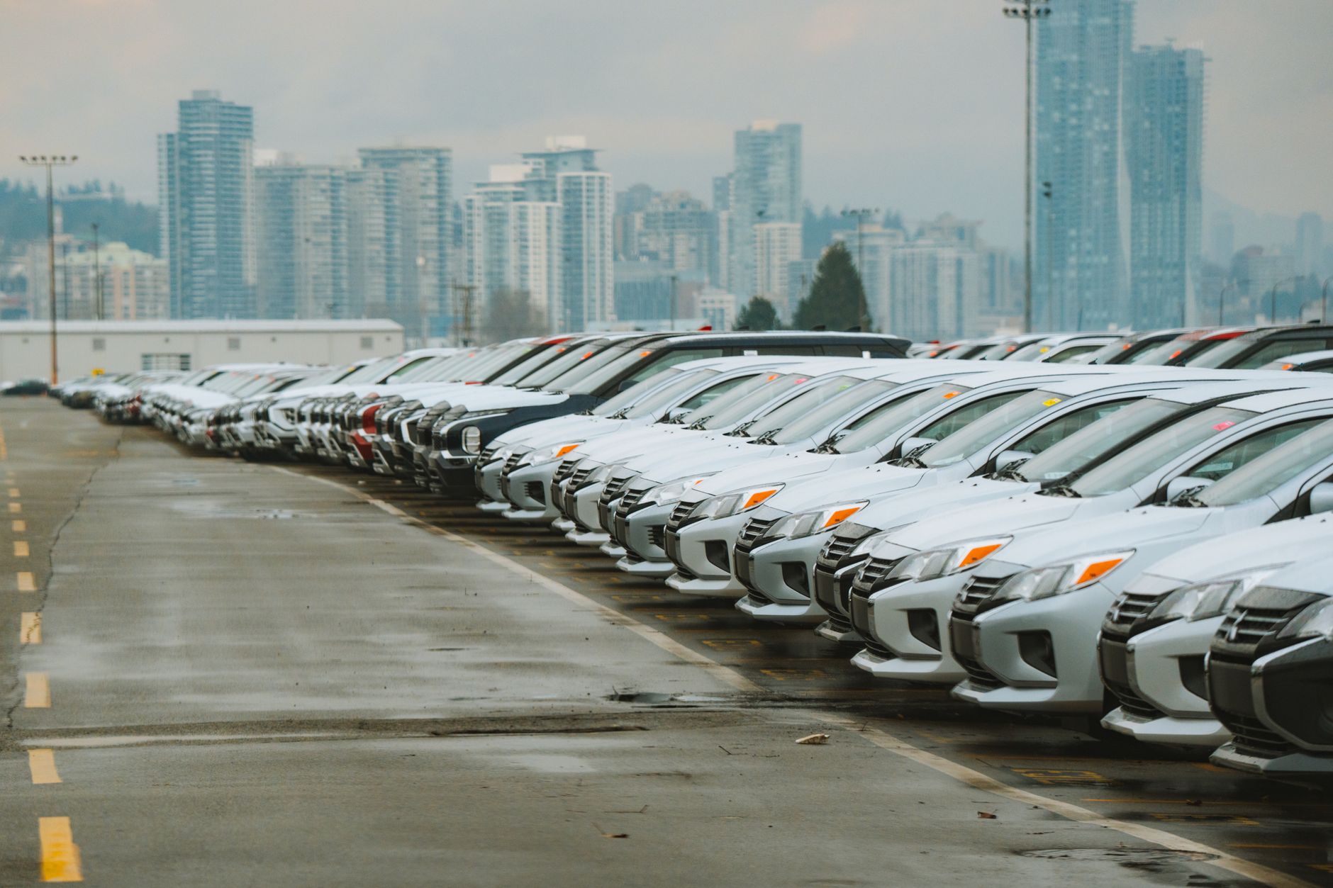White cars lined up in a parking lot with a city skyline backdrop.