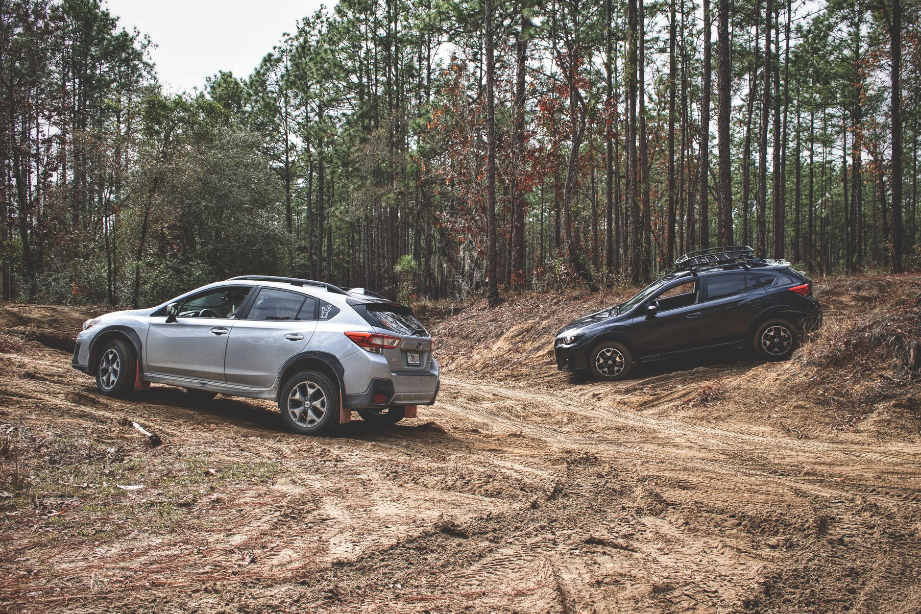 Two SUVs driving through a rugged forest trail, perfect for off-road enthusiasts.