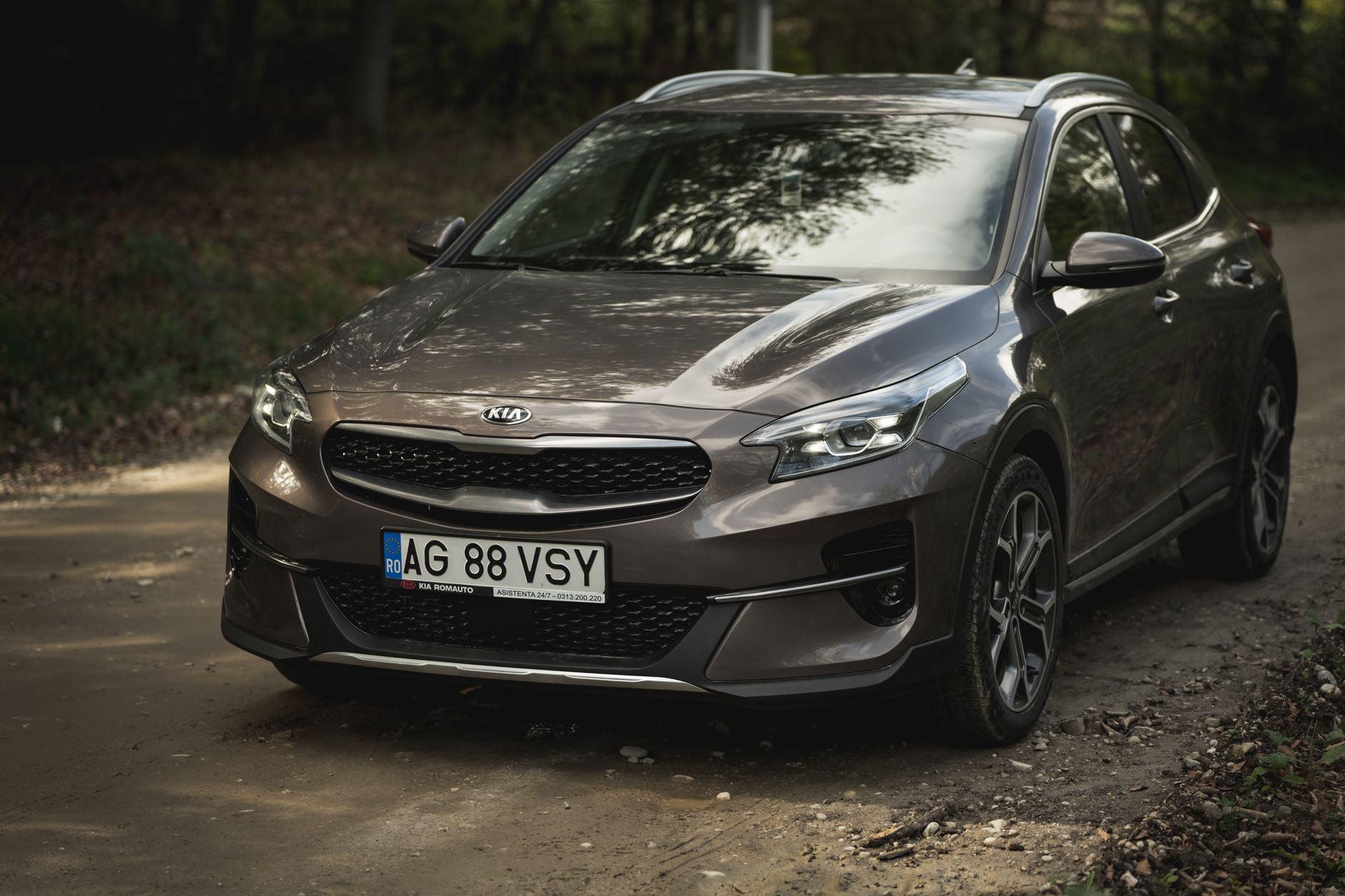 A Kia vehicle is parked on a forest road during the day, showcasing its sleek design.